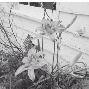 Meet your Posher, Sage